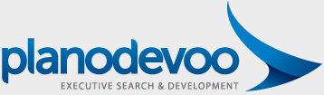 PDV - Plano de Voo - Executive Search & Development - Soluções em liderança - Coaching - Assessment